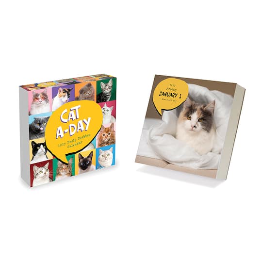 2027 Cat A Day Daily Desktop Calendar
